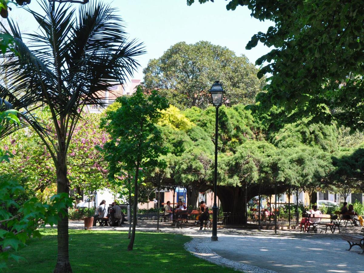 Typical Portuguese Apartment In Sao Bento 리스본 외부 사진